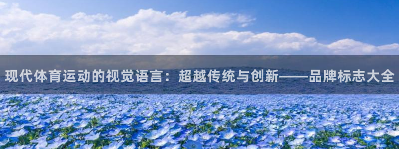中欧农业产业混合c是什么基金：现代体育运动的视觉语言：超越传统与创新——品牌标志大全