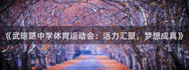 中欧添益一年持有期混合型基金：《武珞路中学体育运动会：活力汇聚，梦想成真》