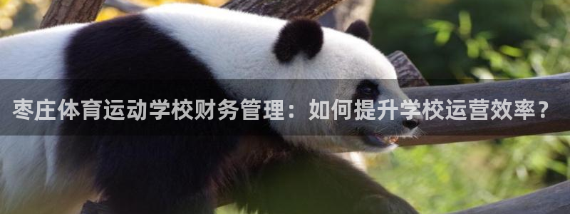 中欧滚钱宝货币A余额宝安全吗