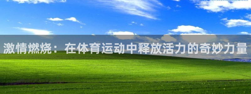 中欧品质消费股票a