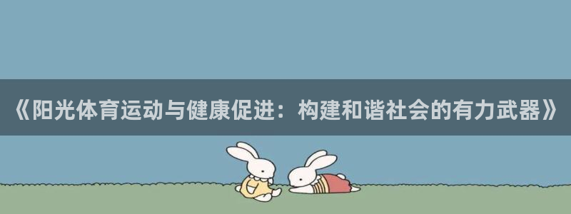 中欧体育集团
