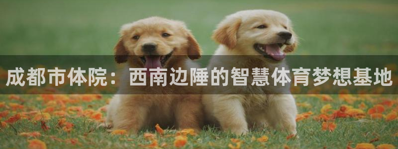 中欧工商国际学院