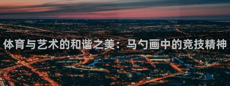 中欧体育集团