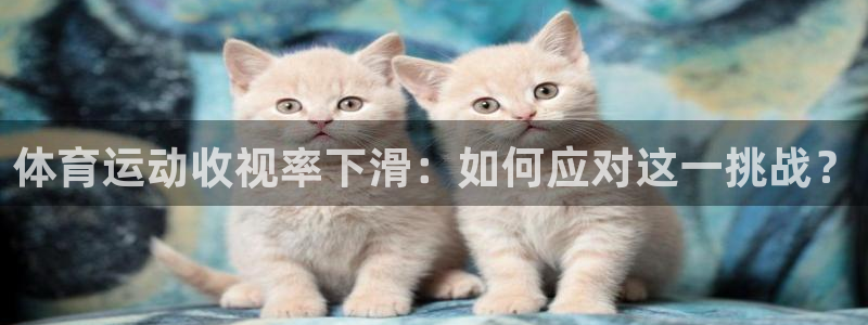 中欧体育李勇鸿