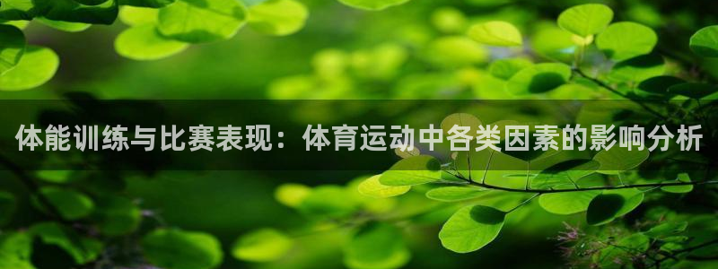 中欧关系定位