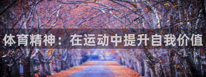 中欧mba学费一年多少钱：体育精神：在运动中提升自我价值