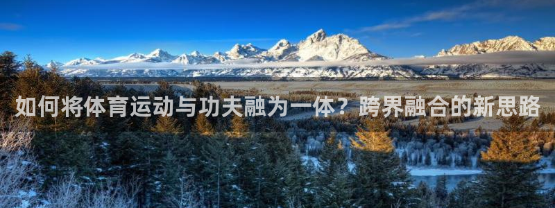 中欧汪泓