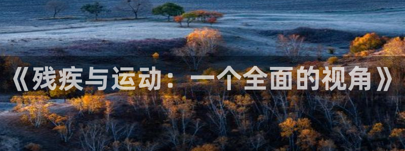 中欧体育app官网入口：《残疾与运动：一个全面的视角》